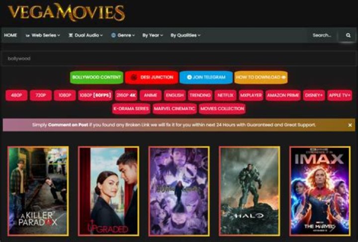 Unlock the World of Entertainment with Vegamovies.sc