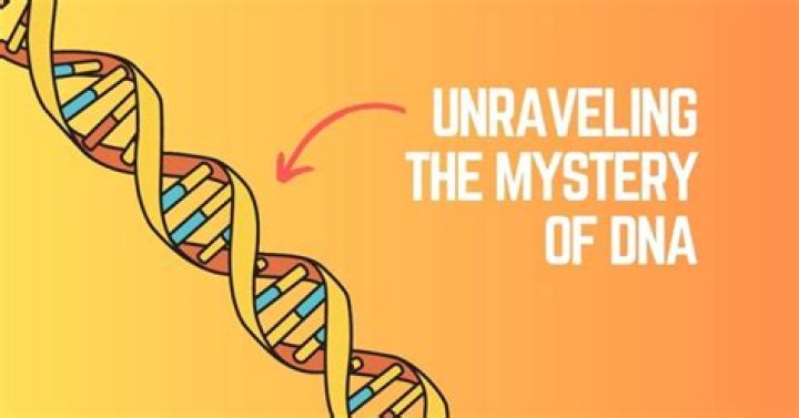 Unraveling the Mysteries of the Crazyjamjam Leak