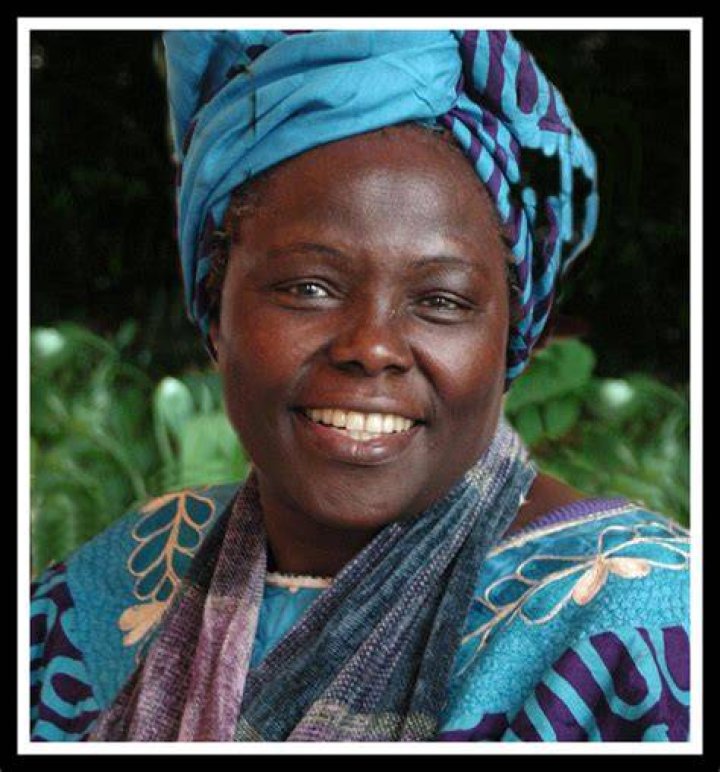 Unveiling the Life and Achievements of Alison Neubauer