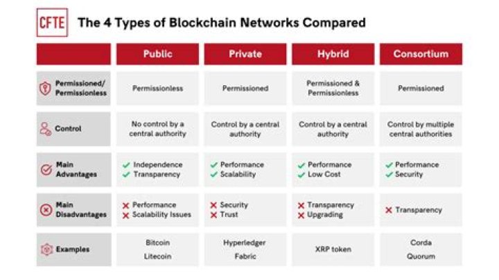 Unveiling the Mystique of Hotblockchain Nude: A Dive into the Digital Realm