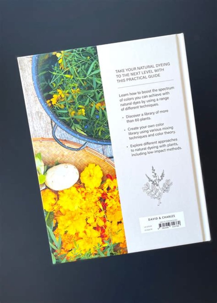 Vegamoies: The Ultimate Guide to Exploring Plant-Based Living