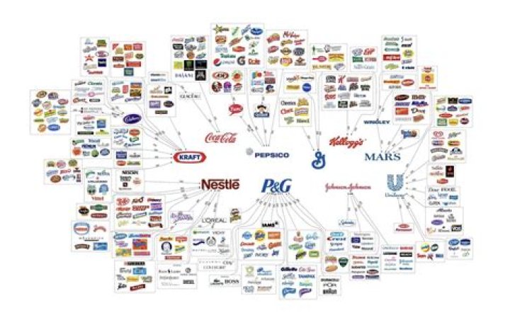Vision of Empresas Polar: Pioneering Success in the Food and Beverage Industry