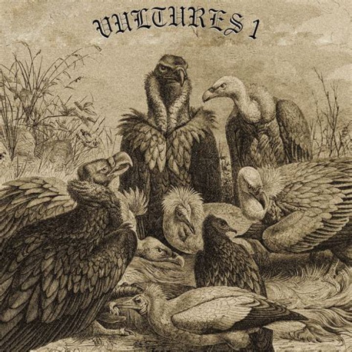 Vultures 1 Cover: An In-Depth Analysis of Its Impact and Significance