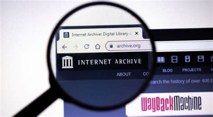 Web Time Machine: Exploring the Digital Archive of the Internet