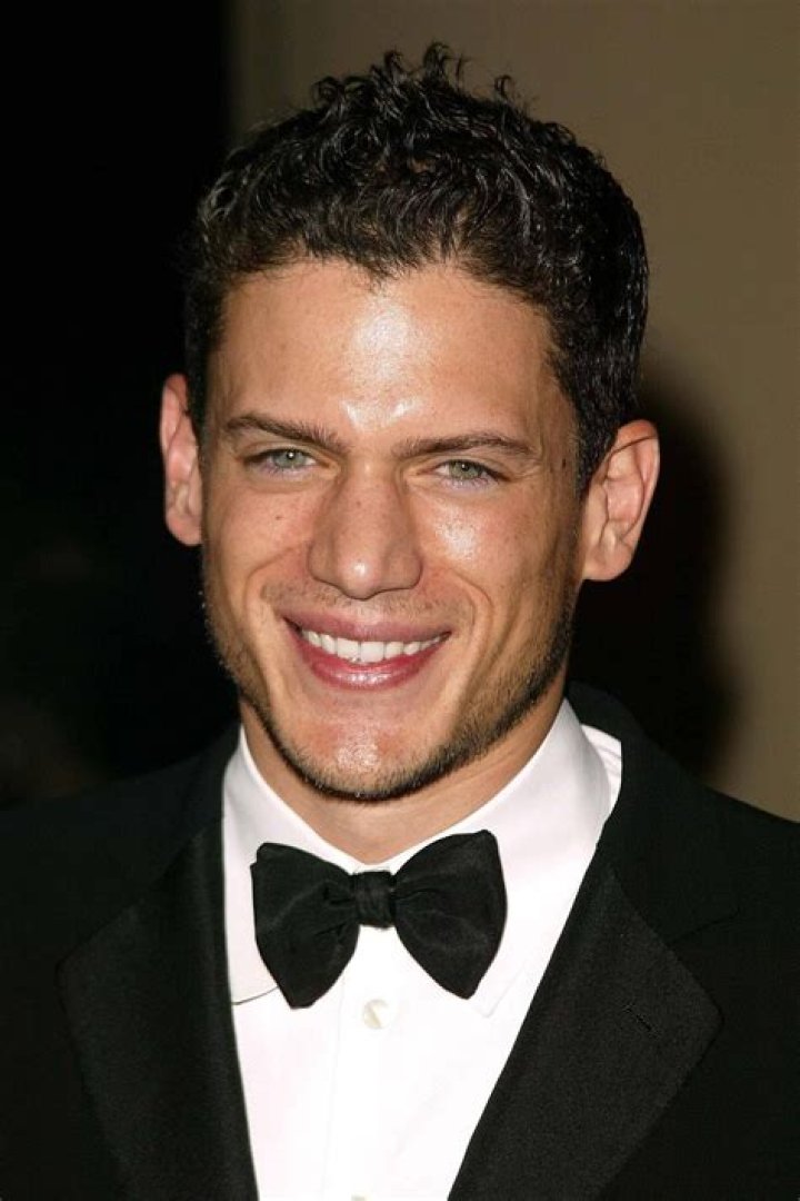 Wentworth Miller's Wife 2024: Unveiling the Man Behind the Actor