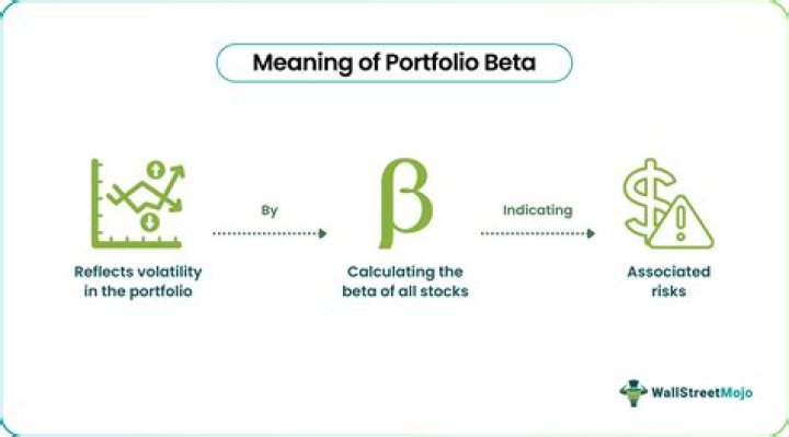 What is the Beta of a Portfolio: A Comprehensive Explanation