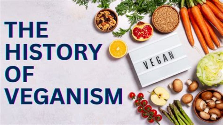 Why Vegamivies Are Changing the Game in the World of Veganism
